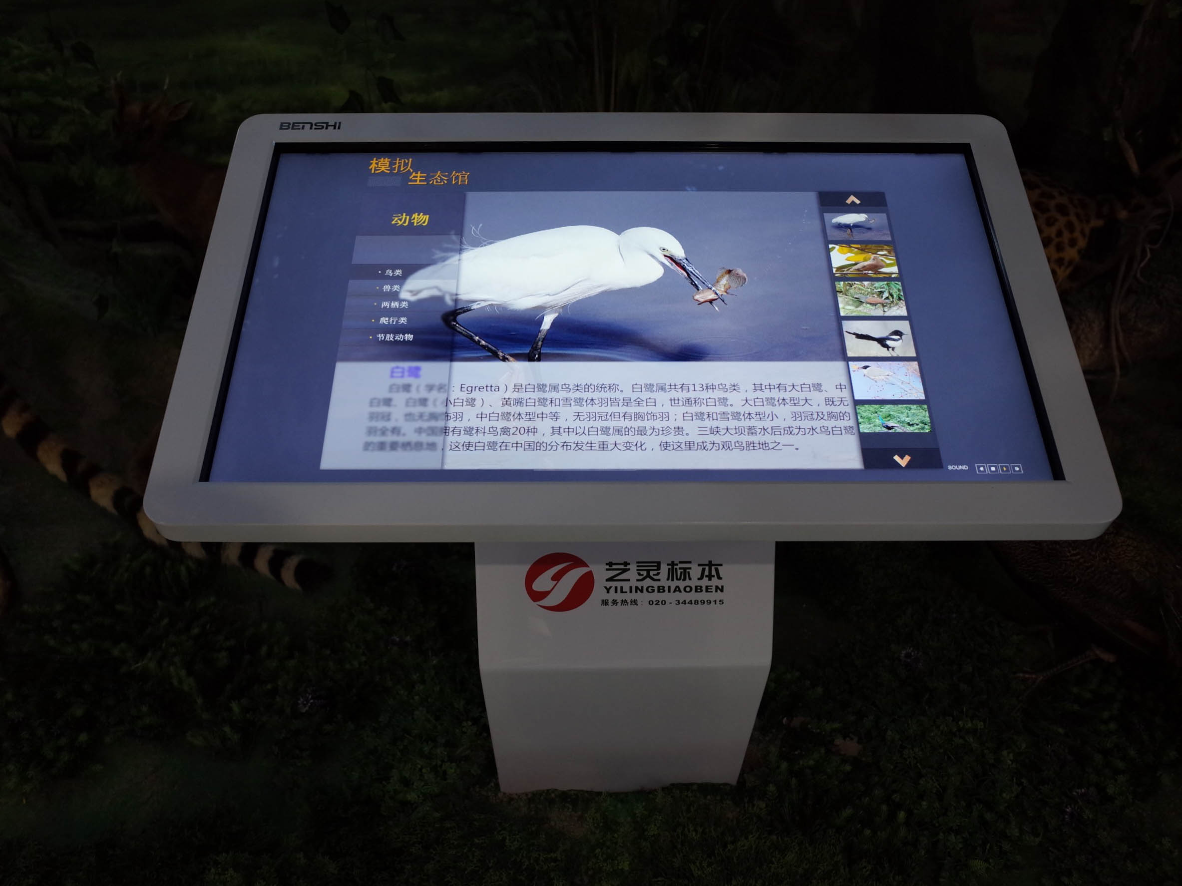 陕西九三数字创意软件科技有限公司